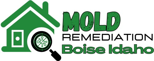 Mold Remediation Boise Idaho