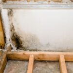 Mold Remediation