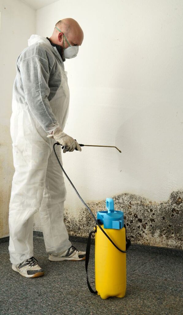 Mold Remediation Boise Idaho