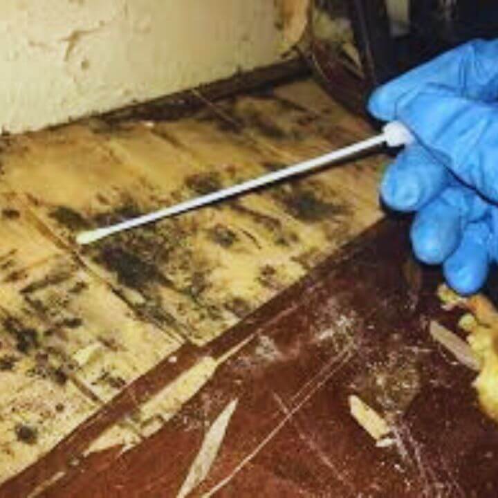 Mold Testing Boise Idaho