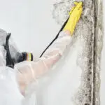 Toxic Reactions from Black Mold
