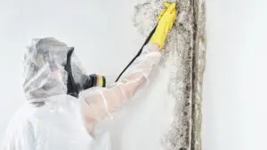 Toxic Reactions from Black Mold
